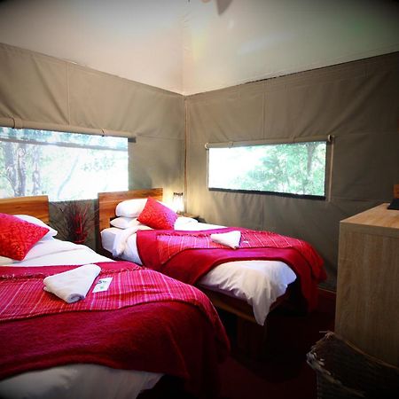 Mali Boutique Lodge & Tube 'N Axe Budget Accommodation 스톰스리비에르 객실 사진