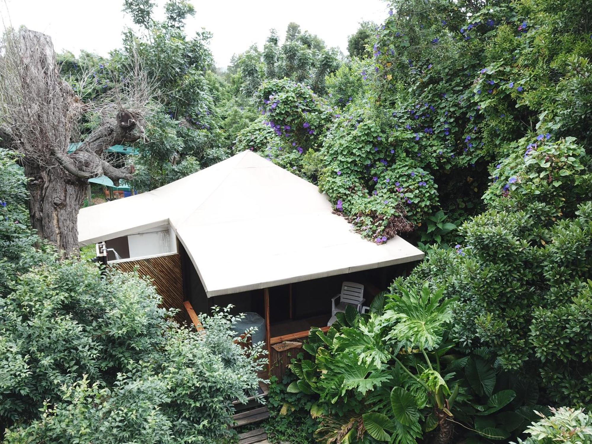 Mali Boutique Lodge & Tube 'N Axe Budget Accommodation 스톰스리비에르 객실 사진