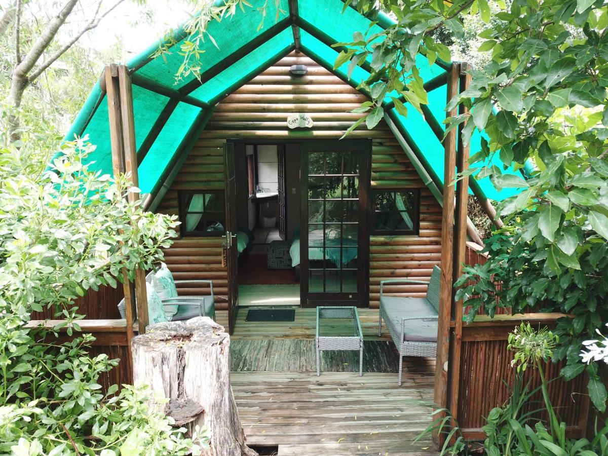Mali Boutique Lodge & Tube 'N Axe Budget Accommodation 스톰스리비에르 외부 사진