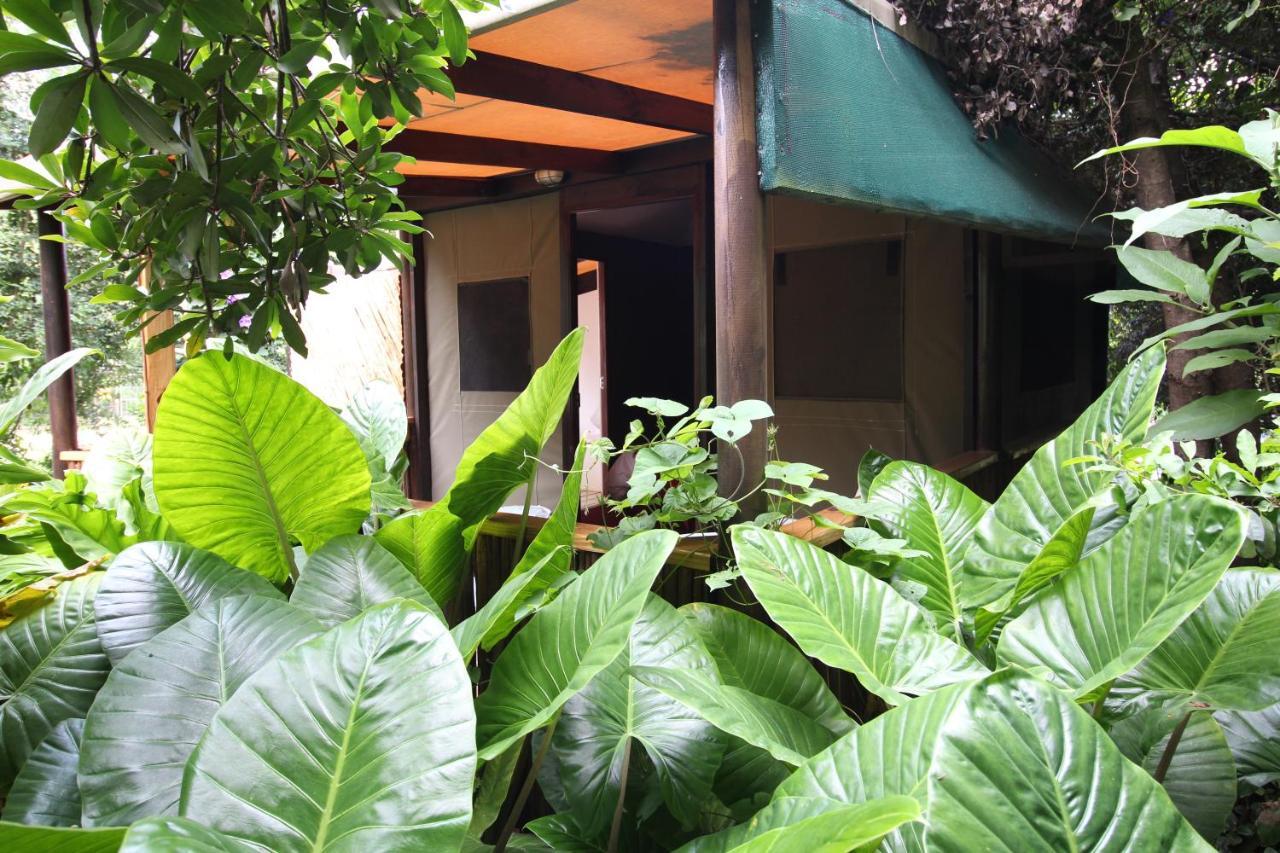 Mali Boutique Lodge & Tube 'N Axe Budget Accommodation 스톰스리비에르 외부 사진